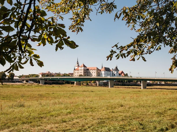 Blick auf Schloss Hartenfels in Torgau