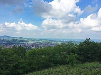 Aussicht an der Schauenburg