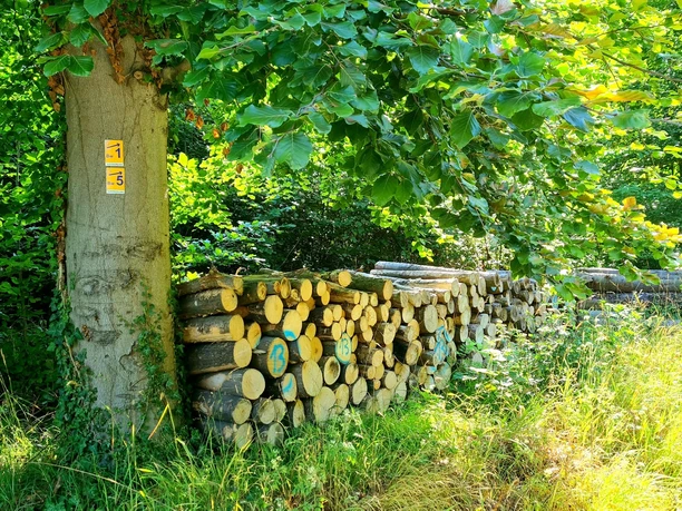 Qualitätstour Weserhöhen (Bw 5)