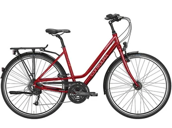 Fahrrad bei frankfurtbiketour