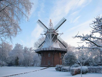 muehle-im-schnee.jpg Historische Windmühle im Winter, umgeben von verschneiten Bäumen unter blauem Himmel.