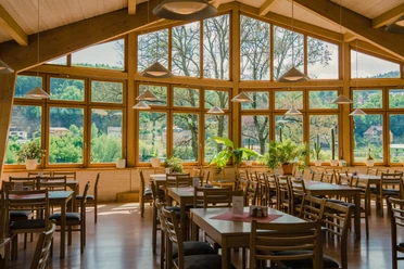 Aktiv-Hotel Stock & Stein Restaurant Heller, moderner Raum mit großen Fenstern, Holzmöbeln und vielen grünen Pflanzen; draußen ist eine grüne Landschaft zu sehen.