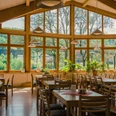 Aktiv-Hotel Stock & Stein Restaurant Lichte, moderne kamer met grote ramen, houten meubels en veel groene planten; buiten is een groen landschap te zien.