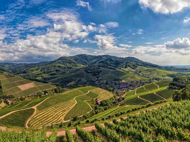 Panoramablick über Durbach