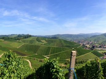 Panoramablick auf Durbach