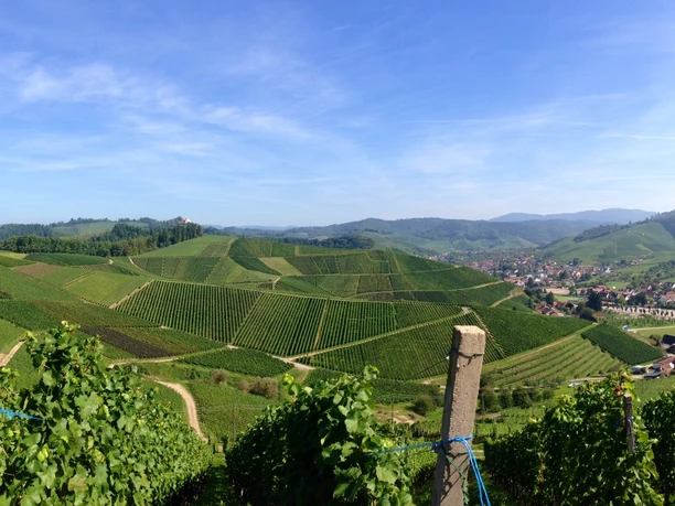 Panoramablick auf Durbach