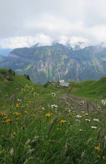 Wandern auf Gitschenen