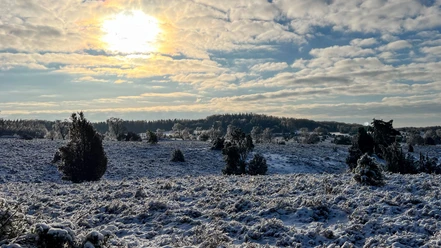 Erster Schnee in der Lüneburger Heide