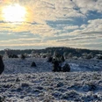winter-naturschutzgebiet-bispingen-touristik.jpg Erster Schnee in der Lüneburger Heide