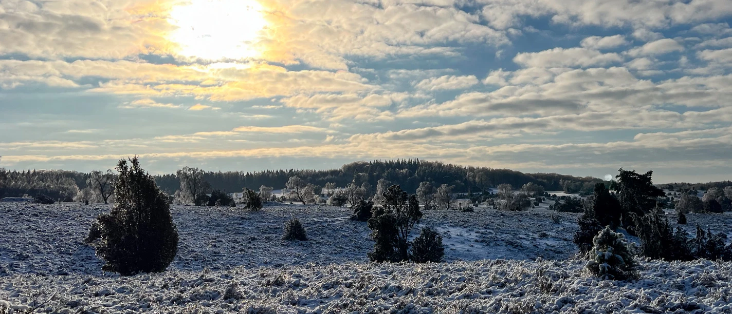 winter-naturschutzgebiet-bispingen-touristik.jpg First snow in the Lüneburg Heath