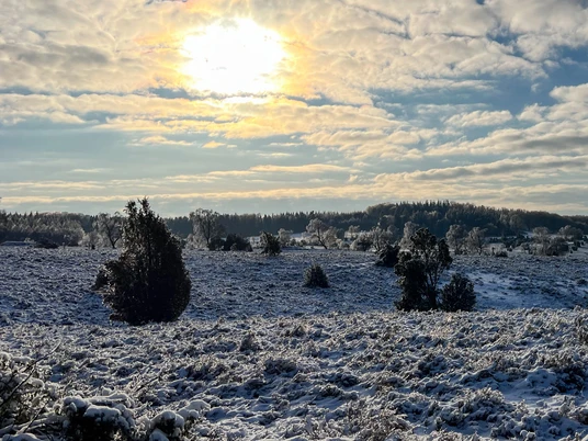 winter-naturschutzgebiet-bispingen-touristik.jpg Erster Schnee in der Lüneburger Heide