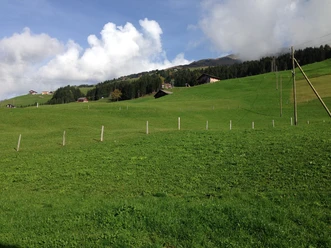 Blick über die grünen Wisen auf der Fuhr