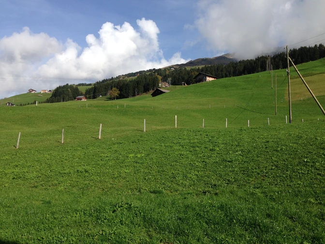 Blick über die grünen Wisen auf der Fuhr