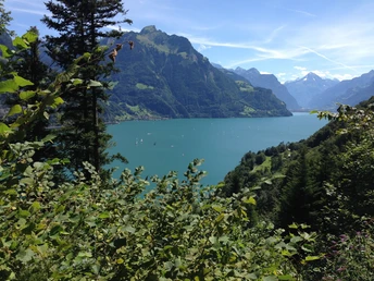 Blick Richtung Reusstal