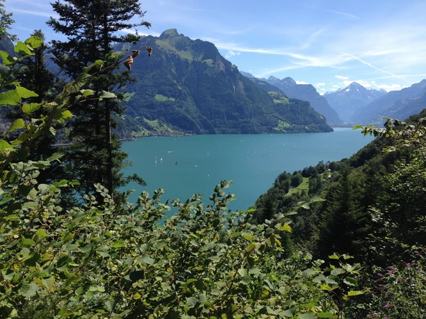 Blick Richtung Reusstal