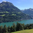 Blick über den Urnersee