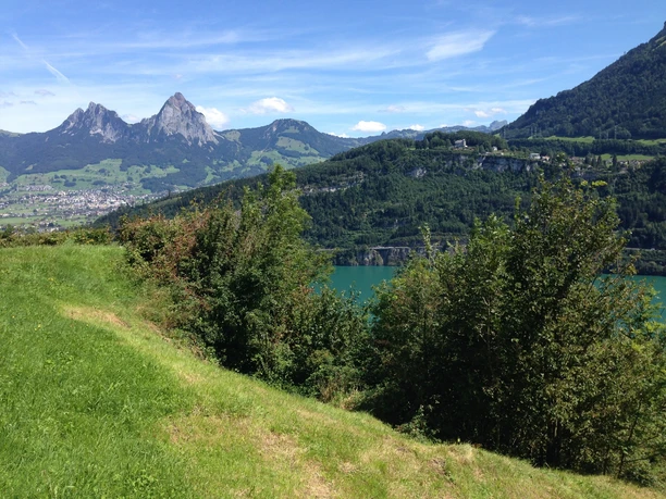 saftige Weiden und markante Berge (Mythen)