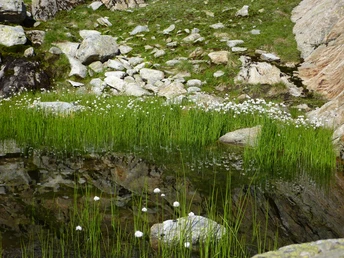 Moorlandschaft auf der nördlichen Seeseite