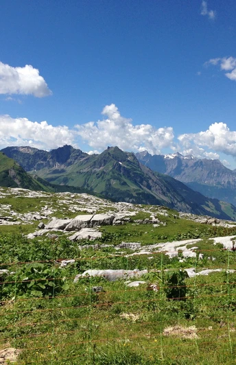 Blick über die Karstfelder auf Cammli