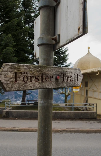 Beginn Förster-Trail