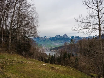 Blick Richtung Mythen