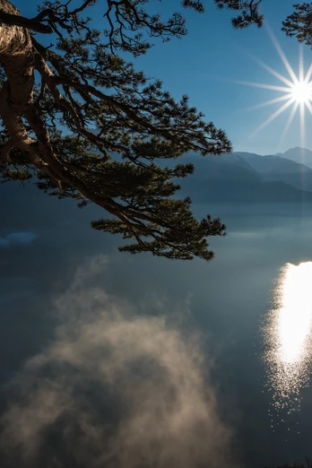 Blick von der Marienhöhe