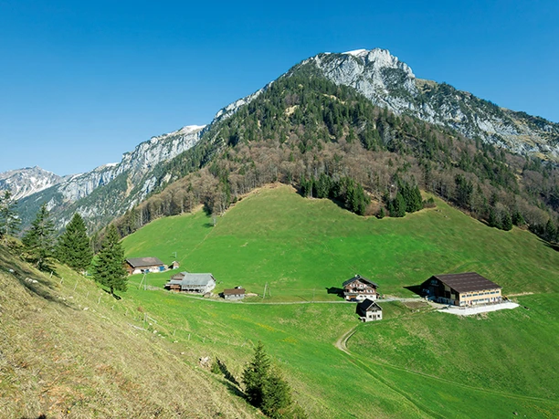 Vielleicht der schönste Bergbauernbetrieb in den Urner Alpen: Furggelen