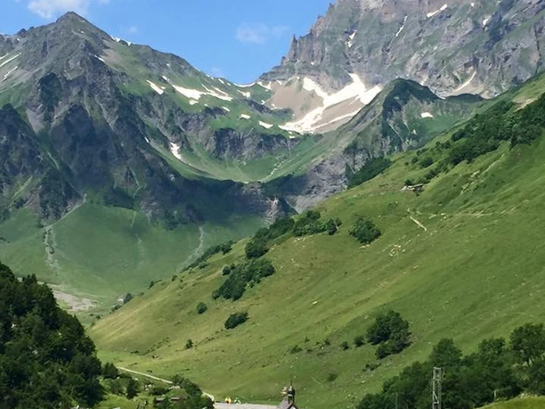 Pflanzenschutzgebiet Waldnacht