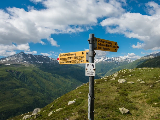 Der Weg ist gut unterhalten und frisch ausgeschildert