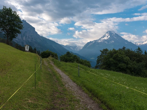 Vom Schwandi wird unser Blick vom imposanten Bristenstock angezogen