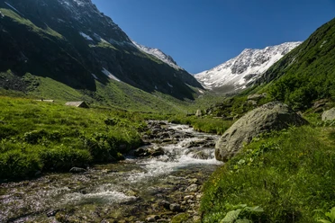 Bald kommen wir im Bergfrühling an