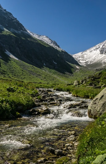Bald kommen wir im Bergfrühling an