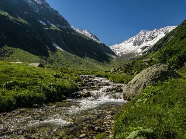 Bald kommen wir im Bergfrühling an