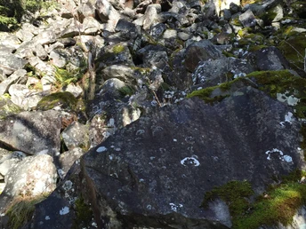 Im Wald gibt es zusätzlich zu den Spielplätzen vieles zu entdecken