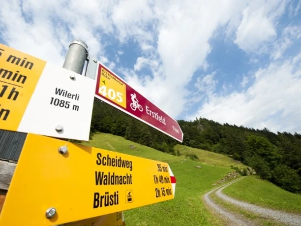 Bike-Tour 405: Gut ausgeschildert!