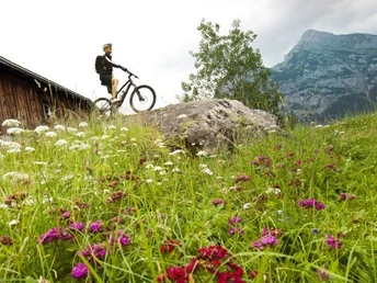 Bike-Tour 405: Mitten durch Blmenwiesen