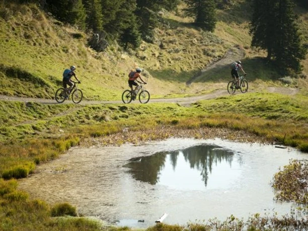Bike-Tour 416: durch urtümliche Natulandschaften!