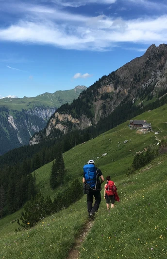 Blumenwiesen so weit das Auge reicht: Biwald im Isenthal