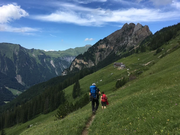 Blumenwiesen so weit das Auge reicht: Biwald im Isenthal