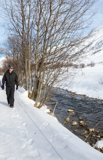 Winterwandern im Urserental