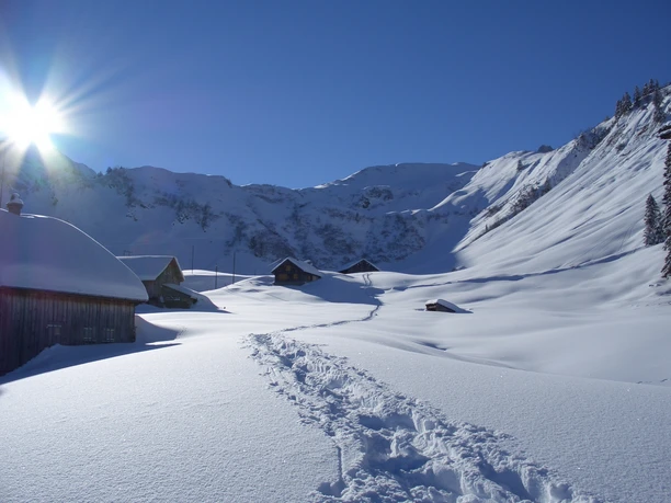 Die herrliche Winterlandschaft auf dem Brüsti, Attinghausen