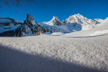 Eine wunderbare Winterlandschaft erwartet die Schneeschuhläufer auf Gitschenen