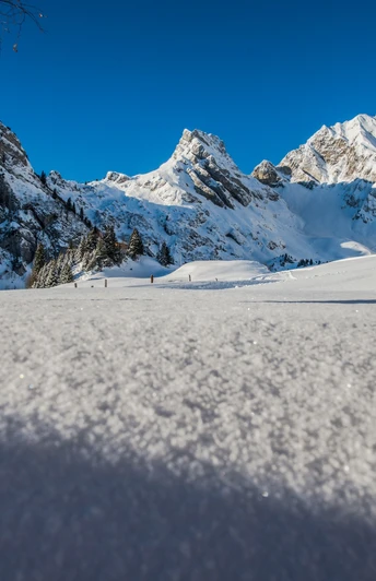 Eine wunderbare Winterlandschaft erwartet die Schneeschuhläufer auf Gitschenen