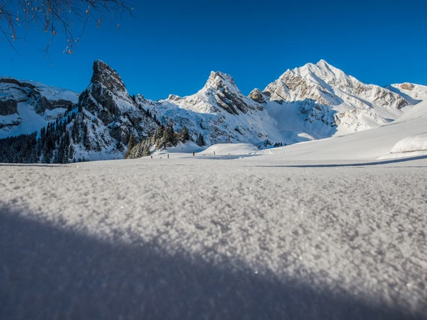 Eine wunderbare Winterlandschaft erwartet die Schneeschuhläufer auf Gitschenen