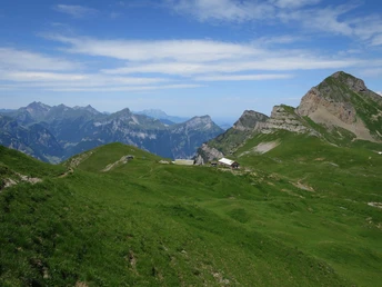 Mitten in den traditionellen Alpen, wo auch noch Wildheu geerntet wird