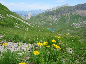 Natur pur im Abstieg Richtung Lidernenhütte