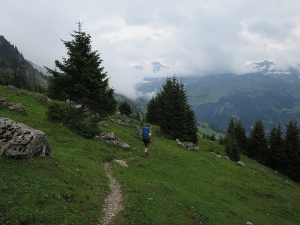 An der Waldgrenze hoch über dem Schächental