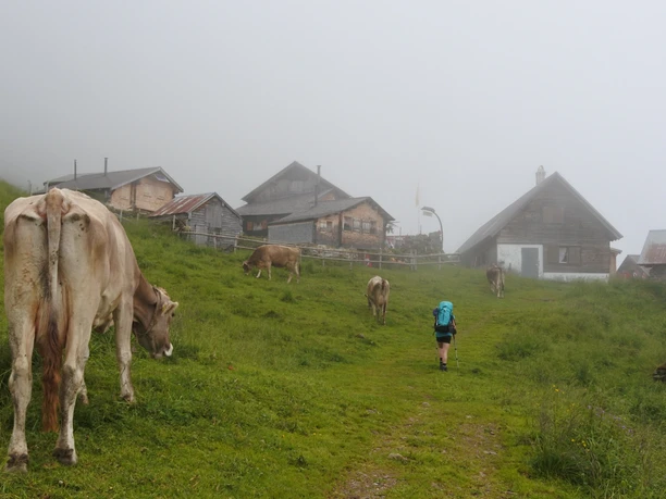 Mitten durch Urner Alpweiden auf dem Schächentaler Höhenweg