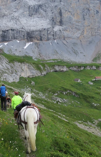 Im Abstieg Richtung Seewlisee