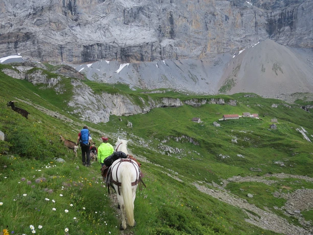 Im Abstieg Richtung Seewlisee